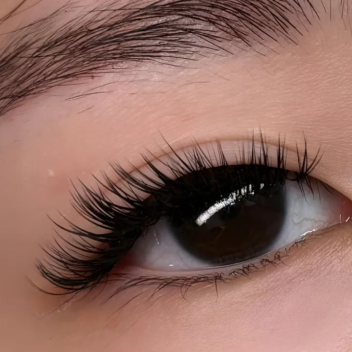 Close-up of a brown eye with a full set of lash extensions